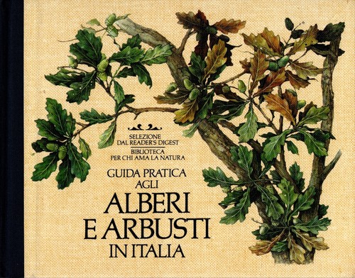 Guida pratica agli - , alberi