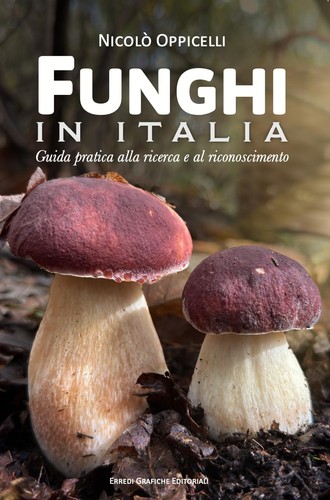 Funghi italia guida - guida, pratica